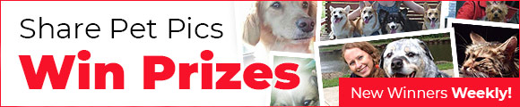 Share Pet Pics - Win Prizes