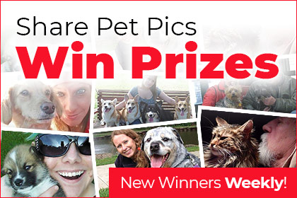 Share Pet Pics - Win Prizes
