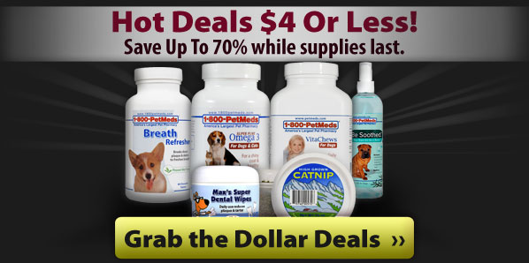 Grab the Hot Deals - $4 or less