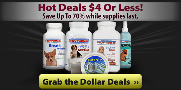Grab the Hot Deals - $4 or less