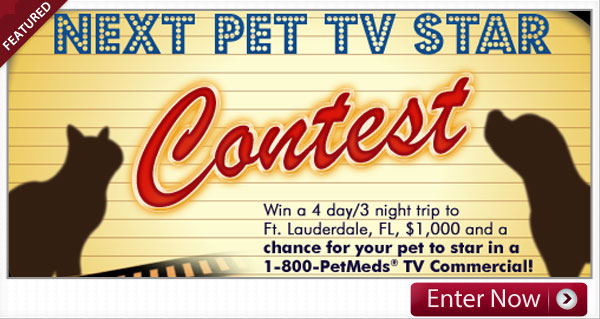 Next Pet TV Star Contest