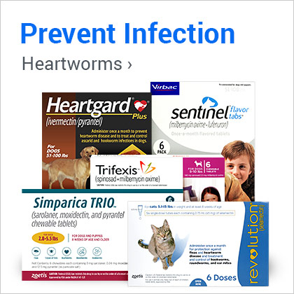 Prevent Infection