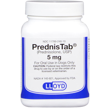 Can Prednisone Bakers Cyst