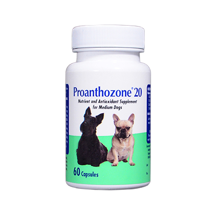 Proanthozone Antioxidant Med Dogs 20 mg 60 ct by Animal 