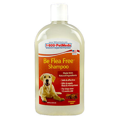Be Flea Free Shampoo 16 oz by 1-800-PetMeds