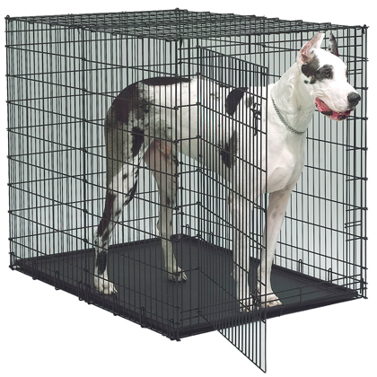 dog crates large breed on Extra Large Dog Crate - 1800PetMeds