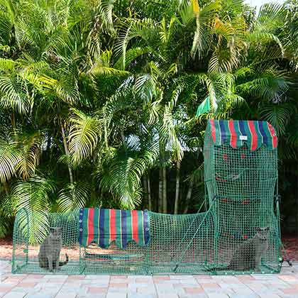 Outdoor cat playground with 8 ft. of fun