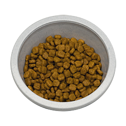 Get Dog Food Industry In India