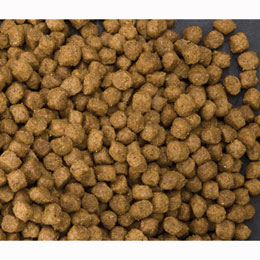 Get list of wheat free dog foods