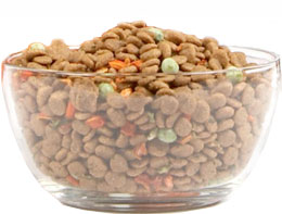 Get bulk dog food storage containers