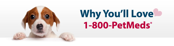 Why you'll love 1-800-PetMeds®