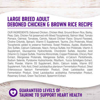 Wellness Complete Health Large Breed Adult Deboned Chicken & Brown Rice Recipe Dry Dog Food 30 lb Bag