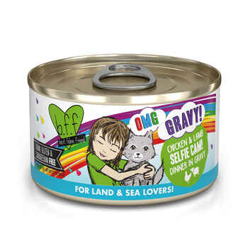Weruva BFF Oh My Gravy Selfie Cam Grain Free Chicken & Lamb in Gravy for Cats 12 2.8-oz cans product detail number 1.0