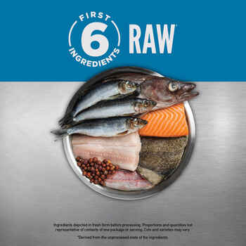 ORIJEN Six Fish Recipe Dry Dog Food 4.5 lb Bag