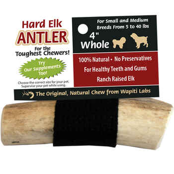 Elk Antlers for Dogs 4" Whole Chew product detail number 1.0