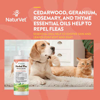 NaturVet Herbal Flea Shampoo for Dogs & Cats Liquid 16 oz