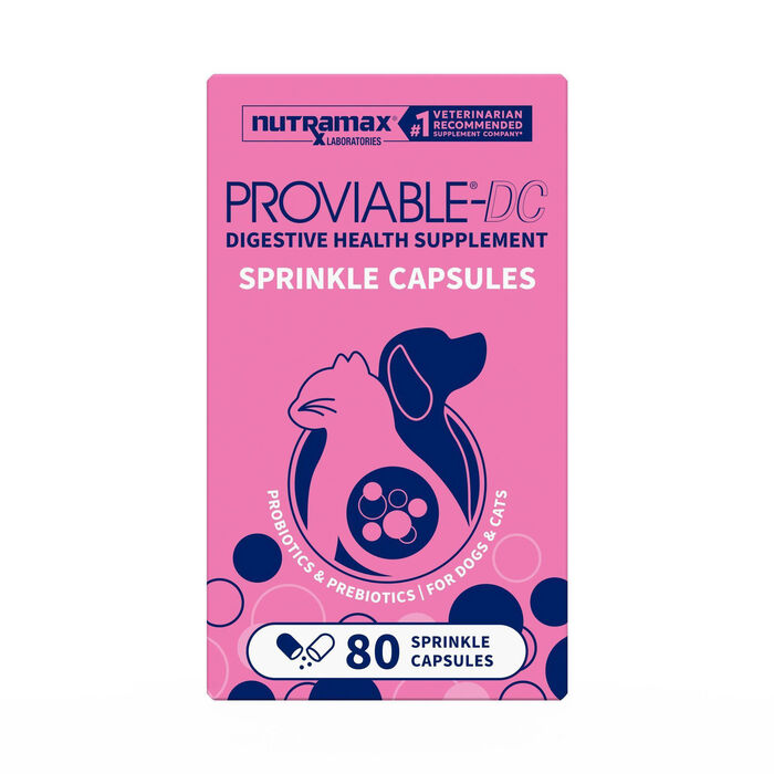 Bundle: Nutramax Proviable + Welactin - Digestive & Skin Support Bundle for Cats product detail number 1.0
