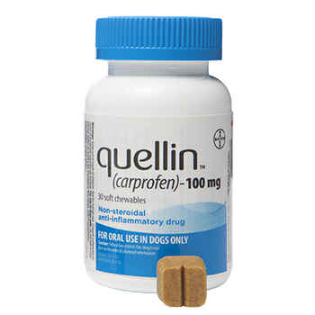 Quellin Carprofen Soft Chew - Generic to Rimadyl 100 mg chewables 180 ct product detail number 1.0