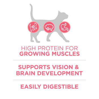 Purina ONE +Plus Healthy Kitten Formula High Protein, Natural Chicken Dry Kitten Food 16 lb. Bag