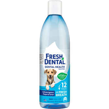 Naturel Promise Fresh Dental Water Additive 18 oz Bottle product detail number 1.0