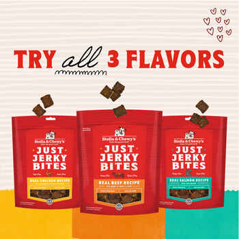 Stella & Chewy's Just Jerky Bites Real Beef Recipe Grain-Free Dog Treats