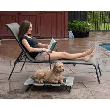 Pet Gear Lifestyle Pet Cot - Elevated Indoor & Outdoor Cooling Pet Bed for Dogs & Cats - 30" - Harbor Grey