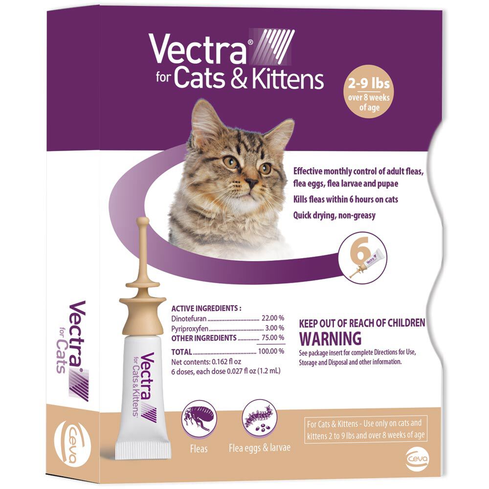 vectra for kittens