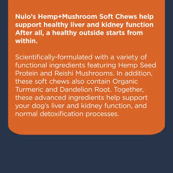 Nulo Soft Chew Hemp & Mushroom Supplement for Dogs 90 ct
