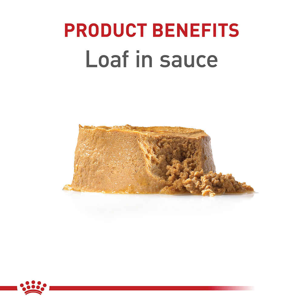 Royal Canin Canine Health Nutrition Puppy Wet Dog Food