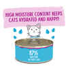 Weruva Classic Cat Pate Tic Tac Whoa! With Tuna & Salmon for Cats 8 5.5-oz Cans