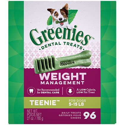 greenies allergy