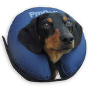 ProCollar Premium Inflatable Protective Pet Collar