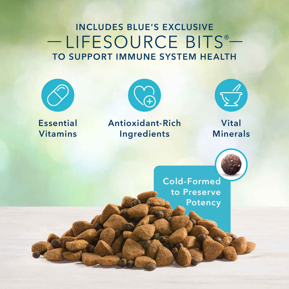 Blue Buffalo Freedom Large Breed Grain-Free Chicken Recipe Adult Dry Dog Food