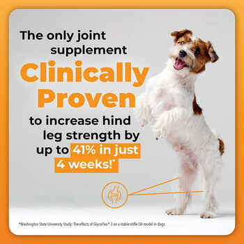 VetriScience GlycoFlex Stage 3 Hip and Joint Supplement Chewable Tablet for Dogs - 120 ct Bottle
