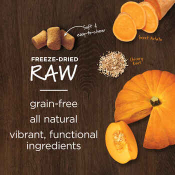 Instinct Raw Boost Mixers Gut Health Recipe Freeze-Dried Raw Dog Food Topper - 5.5 oz Bag