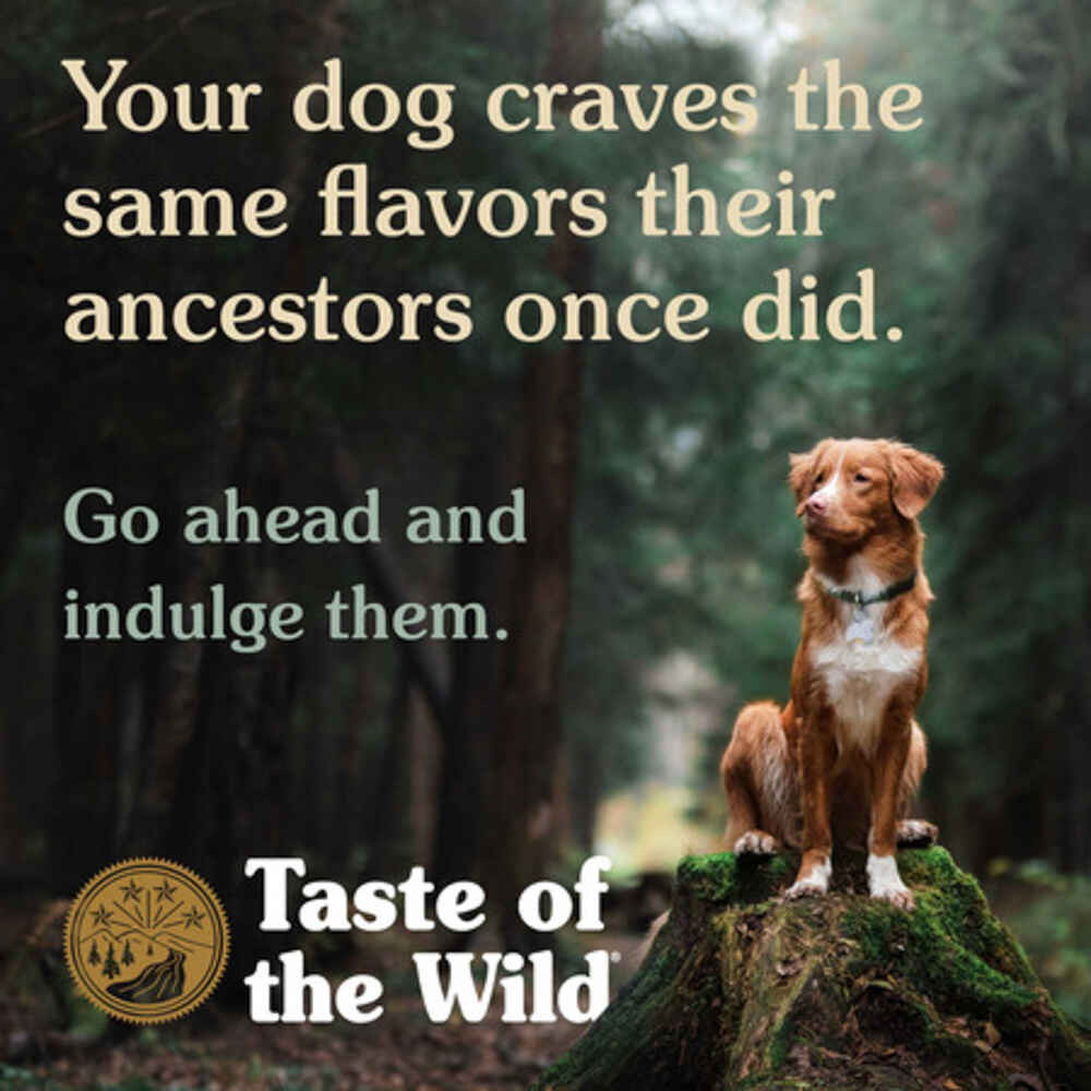 Taste of the Wild Pacific Stream Puppy Recipe Smoke-Flavored Salmon Dry Dog Food
