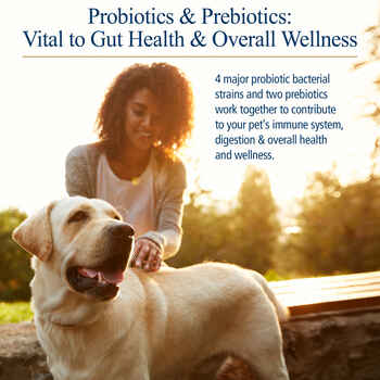 Rx Vitamins Rx Biotic Probiotic