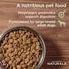 Diamond Naturals Large Breed Adult Dog Chicken & Rice Formula Dry Dog Food - 40 lb Bag
