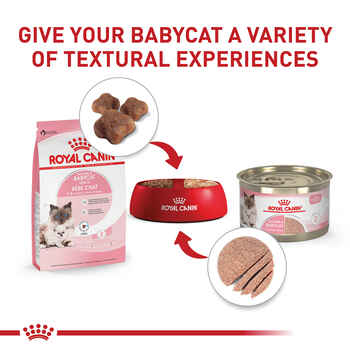 Royal Canin Feline Health Nutrition Mother & Babycat Dry Cat Food - 3 lb Bag 