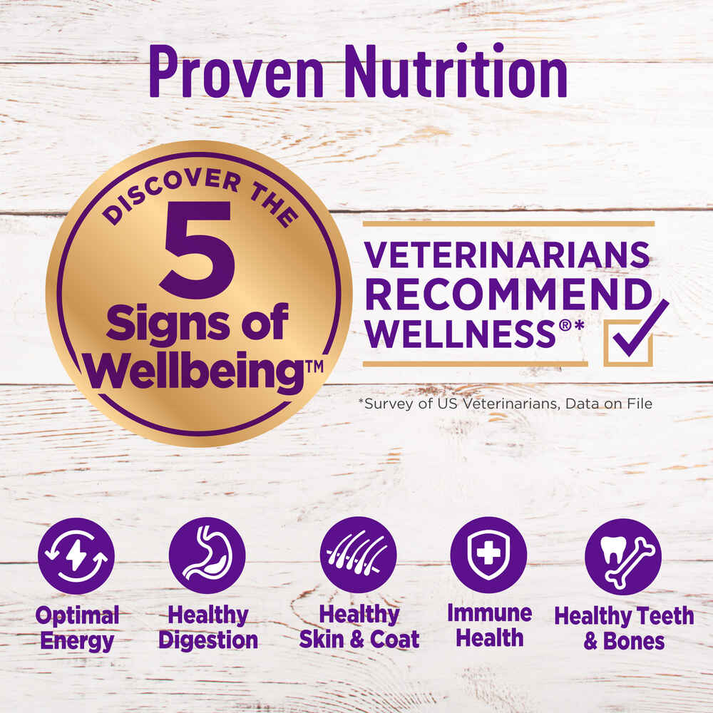 Wellness Complete Health Small Breed Adult Turkey & Oatmeal Recipe Dry Dog Food