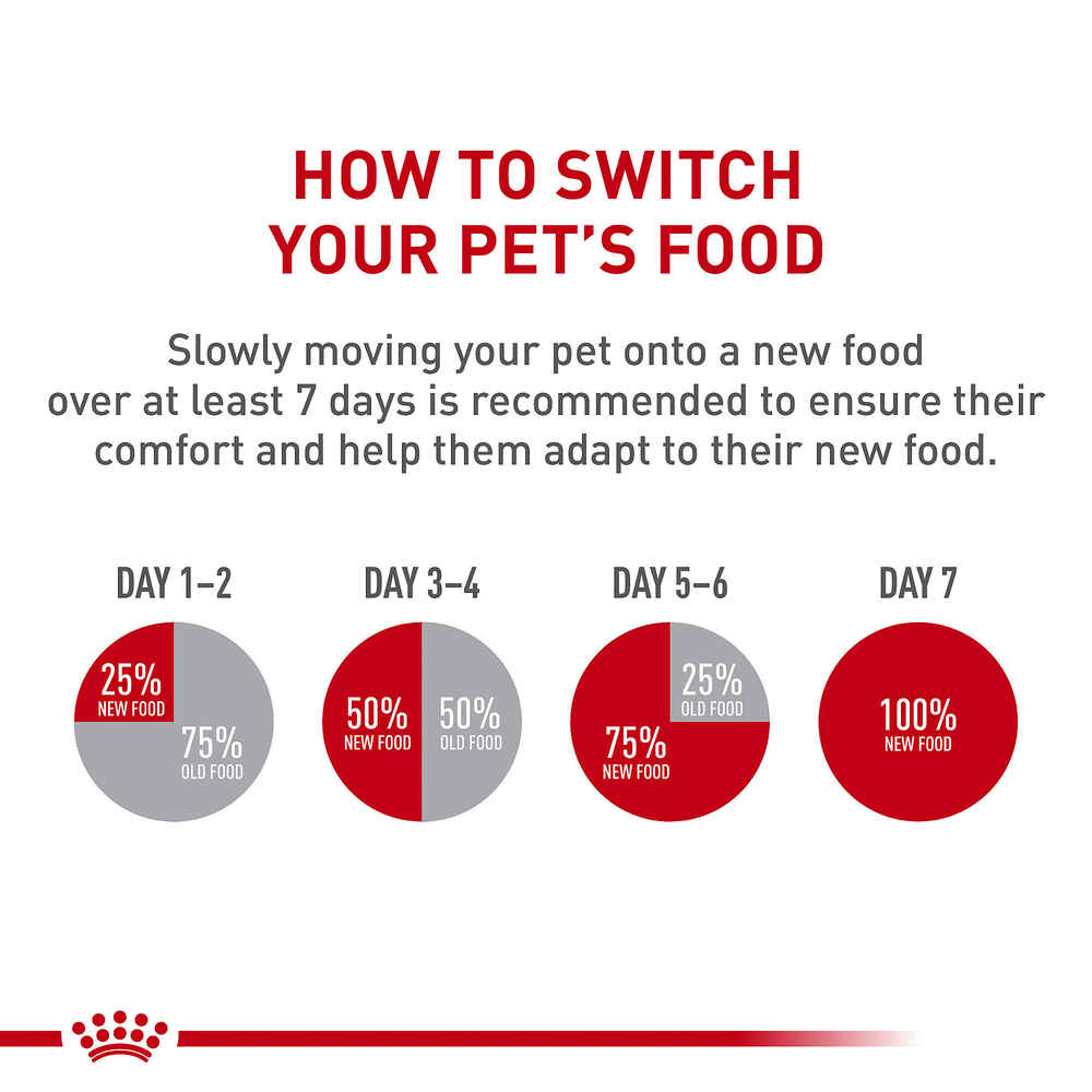 Royal Canin Feline Health Nutrition Kitten Dry Cat Food