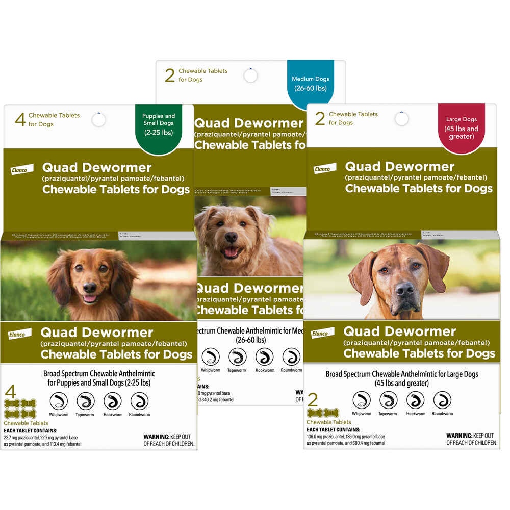 Elanco Quad Dewormer Chewable Tablets For Dogs | 1800Petmeds
