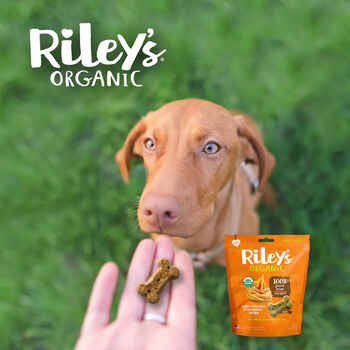 Riley's Organic Peanut Butter Molasses Recipe Small Biscuit Dog Treat 5oz