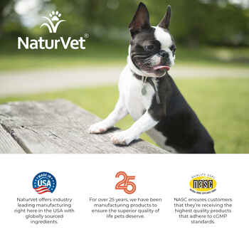 NaturVet Advanced Probiotics & Enzymes Plus Vet Strength PB6 Probiotic Supplement for Dogs and Cats Powder 4 oz