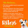 Riley's Organic Pumpkin Coconut Small Bone Dog Treats 5oz