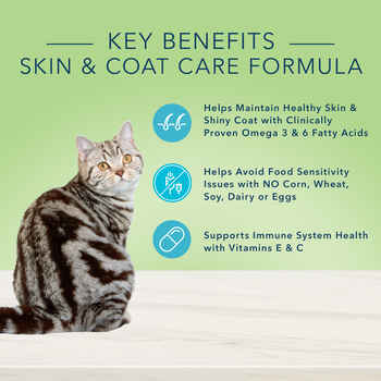 Blue Buffalo True Solutions Perfect Coat Skin & Coat Formula Adult Wet Cat Food 3 oz Can - Case of 24