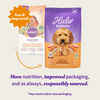 Halo Holistic Cage-Free Chicken & Brown Rice Dog Food 21lb