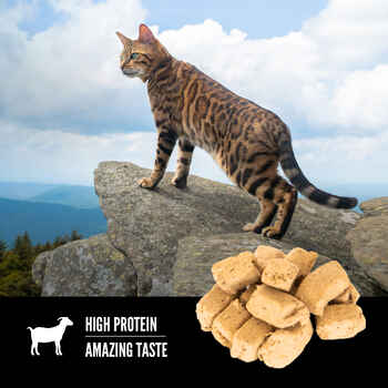 ORIJEN Tundra Freeze-Dried Cat Treats 1.25 oz Bag
