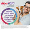 Bravecto Topical for Dogs Toy Dog 4.4-9.9 lbs 1 dose