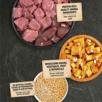 ACANA Wholesome Grains Limited Ingredient Lamb & Pumpkin Dry Dog Food 4 lb Bag